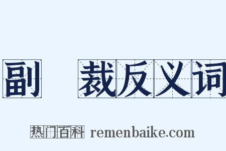 副總裁反义词是什么意思的图片